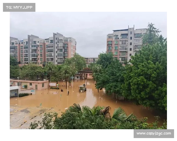 湖南水灾募捐遭冷嘲热讽:网友背后的无奈与思考(湖南水灾捐款名单) 湖南水灾募捐遭冷嘲热讽:网友背后的无奈与思考(湖南水灾捐款名单)